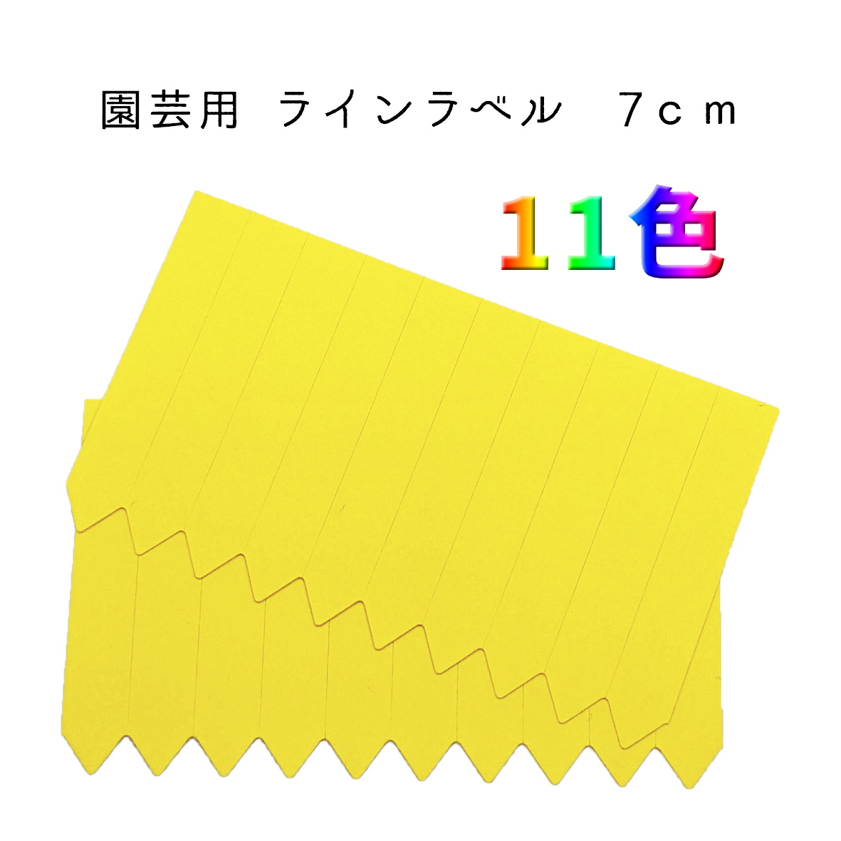 label7-0.jpg