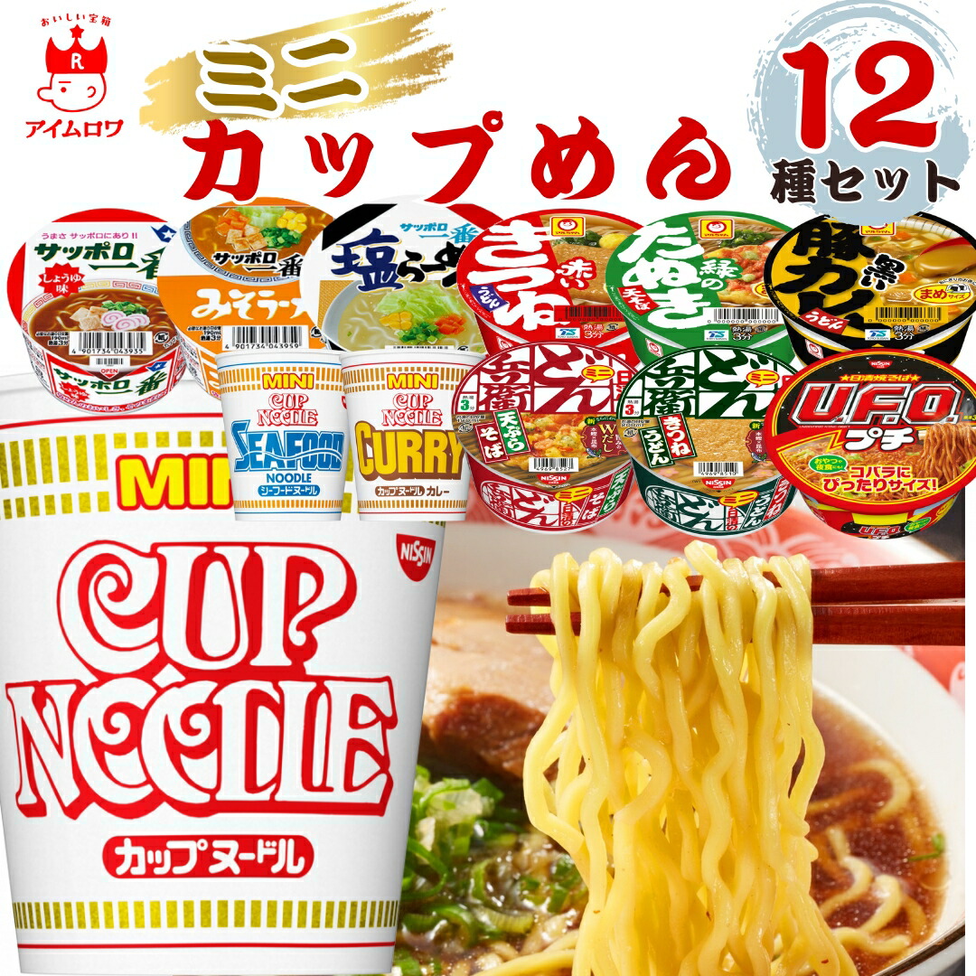 アミューズメント　カレーメシ 5種 27個セット Amazon | 【セット買い】日清食品 日清ハヤシメシ デミグラス