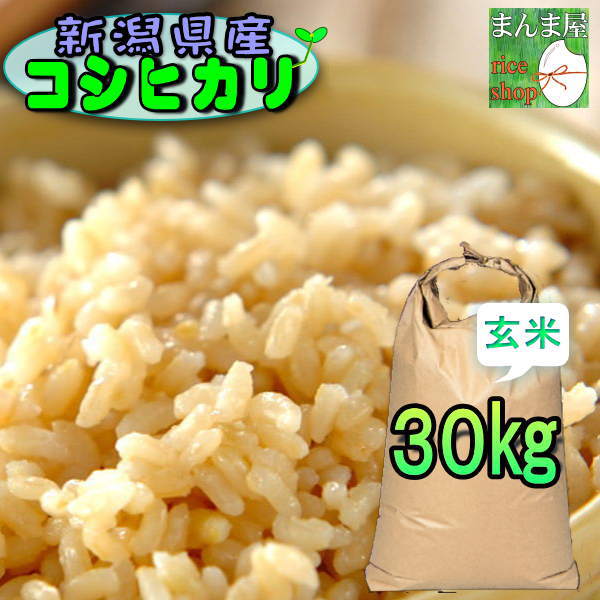 新米・令和2年産玄米新潟コシヒカリ30kg（10kg×3）精米無料☆農家直送