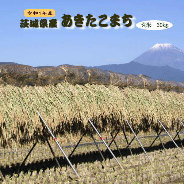 令和4年岡山県北産あきたこまち 玄米30kgの+spbgp44.ru