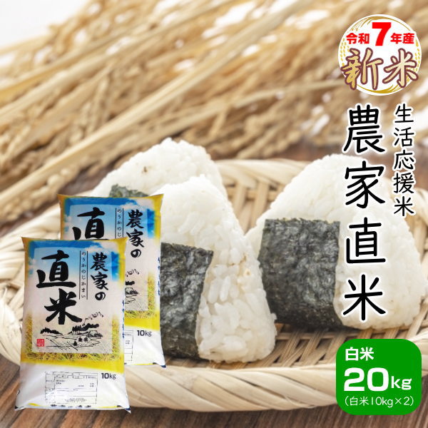 楽天市場】10kg お米 白米 安い 訳あり ブレンド米 送料無料