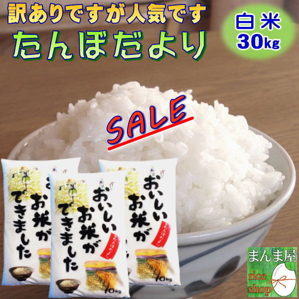非常に高い品質 米 ひとめぼれ お米 白米 精米済 5kg×6 R3年産 30kg - 米