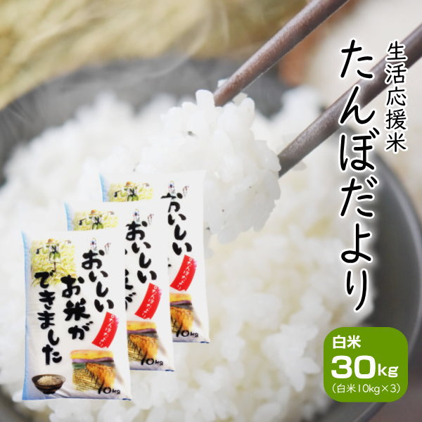 【白米10kg】KYO！ 白米10kg】KYO様専用！