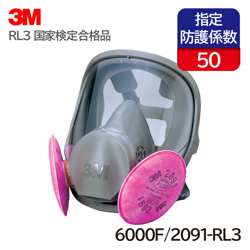 3M 取替え式 防じんマスク 全面形面体 日本 国家検定合格 6000F/2091-RL3 (粉塵 作業用 アスベスト ダイオキシン)