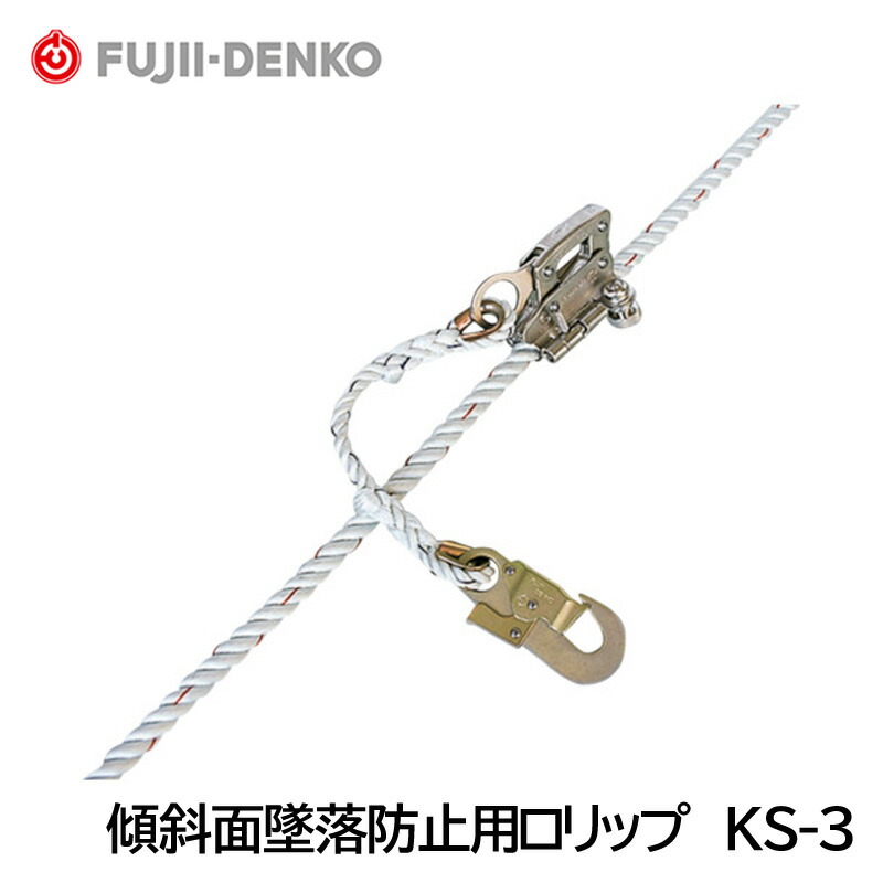 ツヨロン　ロリップ 51epQTLJuvL._UF350,350_QL80_.jpg