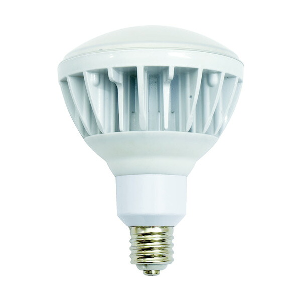 NICHIDO 投光器用LED交換球 ハイスペックエコビック40W E39 昼白色 本体白 L40V2-J110-50K｜安全モール 店