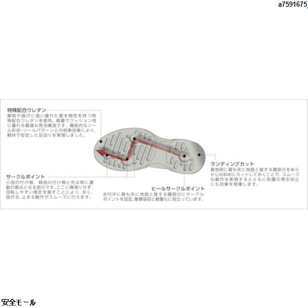 ホワイト