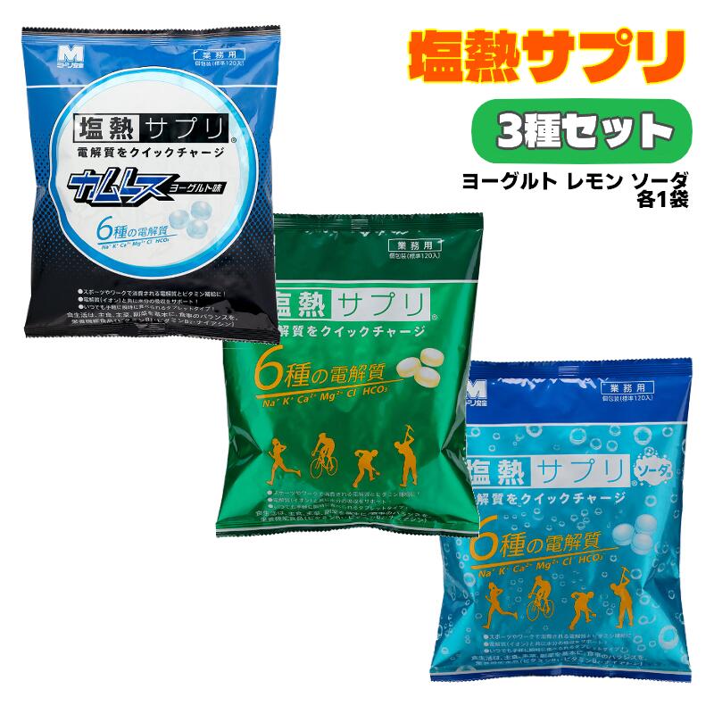 暑さ対策 塩熱サプリ 3種セット 業務用 カムレス ヨーグルト味 レモン味 ソーダ味 各1袋 ミドリ安全