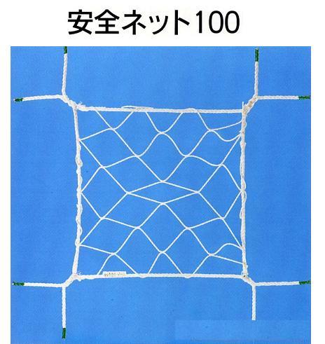 安全性のあるサイバー空間 100 墜ちる・落ちる押しとどめるサイバー空間 5×5【大型商いもの・人間宅送りとどける不可】