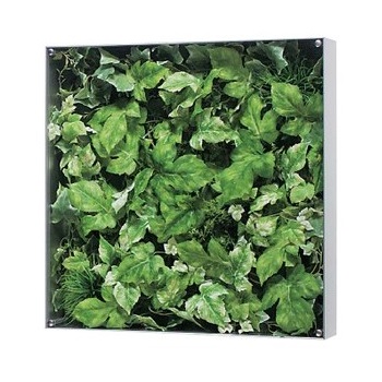 サインディスプレイ グリーンモード ウオールグリーン 45&times;45cm 透明アクリル板カバー GR3110　【個人宅配送不可】｜安全・サイン8
