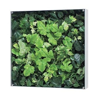 サインディスプレイ グリーンモード ウオールグリーン 45&times;45cm 透明アクリル板カバー GR3112　【個人宅配送不可】｜安全・サイン8