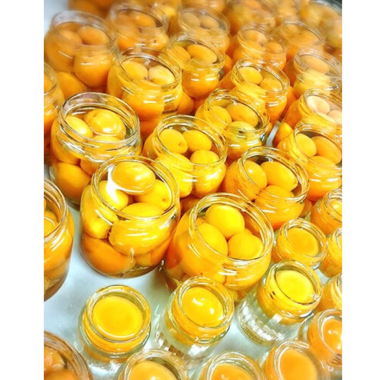 楽天市場 長野県産シロップ漬けあんず 21年の新物です 数量限定 まるで生のあんずを食べている美味しさ 横島アプリコットファームでとれた信山丸を使ったちょっと高級な杏 あんず のシロップ漬け あんずの里のあんずショップ