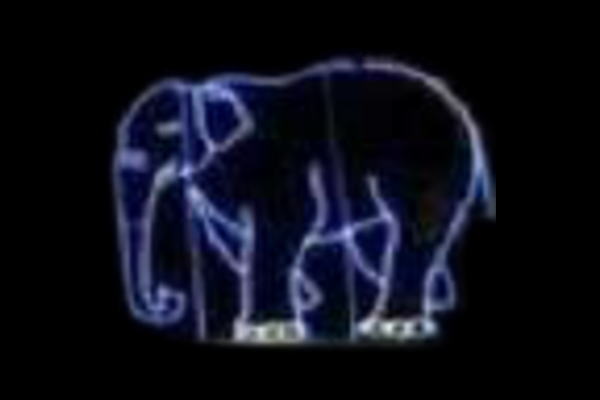 イルミネーション ゾウイルミネーションブルー ゾウ アニマル 動物 平面 壁掛け 輝き 電飾 LED モチーフ クリスマス かわいい|AOIデパート