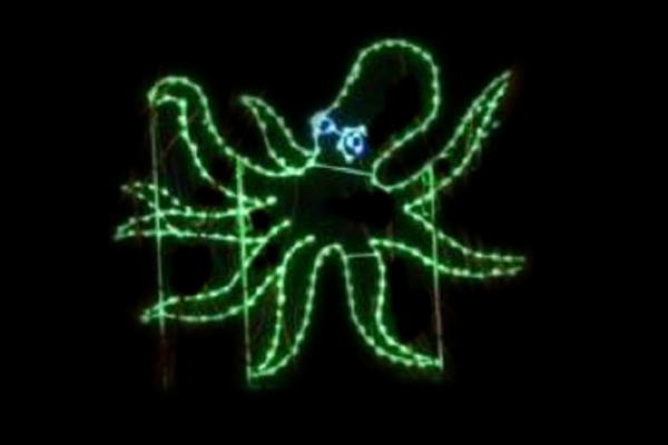 イルミネーション　タコイルミネーショングリーン　タコ　アニマル　動物　平面　壁掛け　輝き　電飾　LED　モチーフ　クリスマス　かわいい