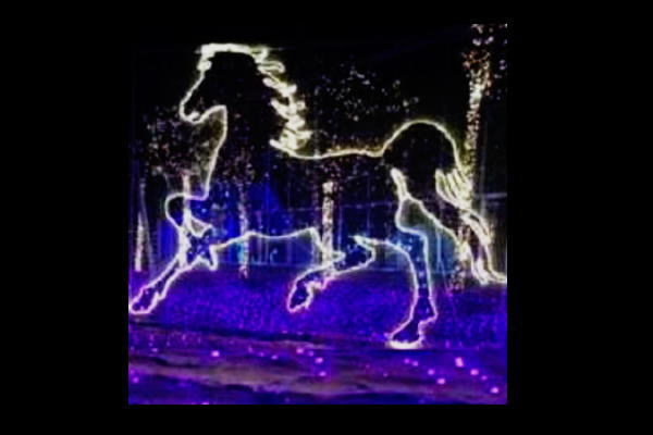 イルミネーション　ウマイルミネーションホワイト　馬　平面　壁掛け　輝き　電飾　LED　モチーフ　クリスマス　かわいい　かっこいい｜ＡＯＩデパート