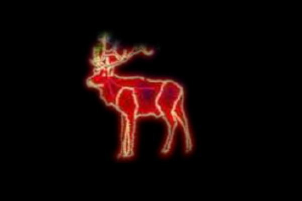 イルミネーション　トナカイイルミネーションオレンジ　トナカイ　アニマル　動物　平面　壁掛け　輝き　電飾　LED　モチーフ　クリスマス　かわいい