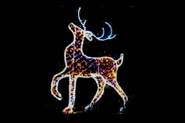 イルミネーション　トナカイイルミネーションブラウン　トナカイ　アニマル　動物　平面　壁掛け　輝き　電飾　LED　モチーフ　クリスマス　かわいい