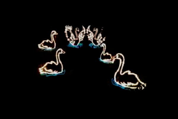 イルミネーション　白鳥イルミネーションイエロー　白鳥　鳥　アニマル　動物　平面　壁掛け　輝き　電飾　LED　モチーフ　クリスマス　かわいい 52,837円