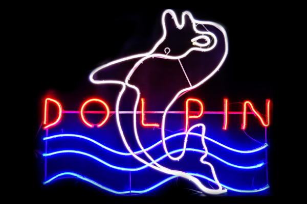 ネオン LEDネオンチューブドルフィン 海豚 海 魚 ネオン点火装置 電飾 LED 点火装置 BAR 喫茶店 貼り出し 照度 室内装飾 バス発着場 ネオンサイン アメリカン雑貨 今めかしい