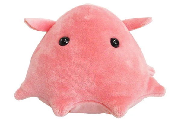 30種 海の生き物 動物 ぬいぐるみ まとめ売り 大量 サメ 魚 メンダコ 楽天市場】ぬいぐるみ マスコット メンダコ【2430】海中散歩 海