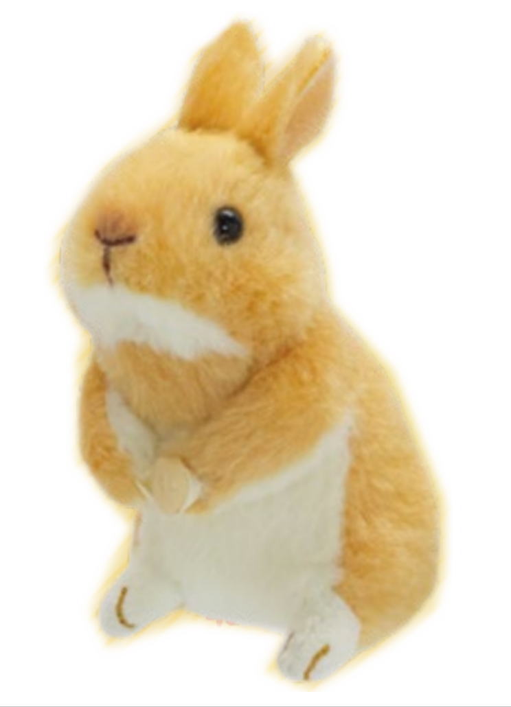 楽天市場】オリジナル くっつきたい！シリーズ ぬいぐるみラッコ
