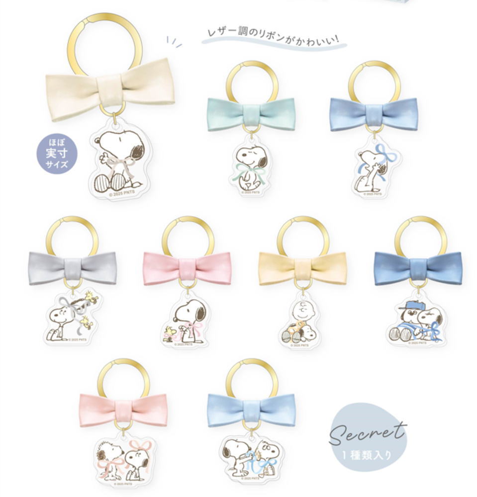 【送料無料】　【10個セット】　【セット】　【セット商品】　スヌーピー　SNOOPY 　シークレットリボンキーリングピーナッツ　ウッドストック　すぬーぴー　アニメ　キャラクター　キーホルダー　キーリング　チャーム　鍵　雑貨　グッズ　かわいい　【TE】
