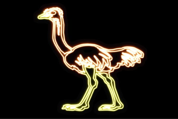 人気ブランドを ネオン ダチョウ だちょう トリ 鳥 とり アニマル 動物 ネオンライト 電飾 Led ライト サイン Neon 看板 イルミネーション インテリア 店舗 ネオンサイン アメリカン雑貨 かわいい おしゃれ