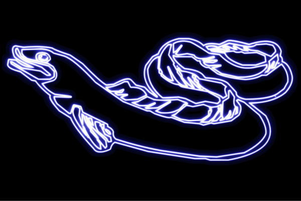 ネオン　ウナギうなぎ　鰻　魚　アニマル　動物　ネオンライト　電飾　LED　ライト　サイン　neon　看板　イルミネーション　インテリア　店舗　ネオンサイン　アメリカン雑貨　おしゃれ