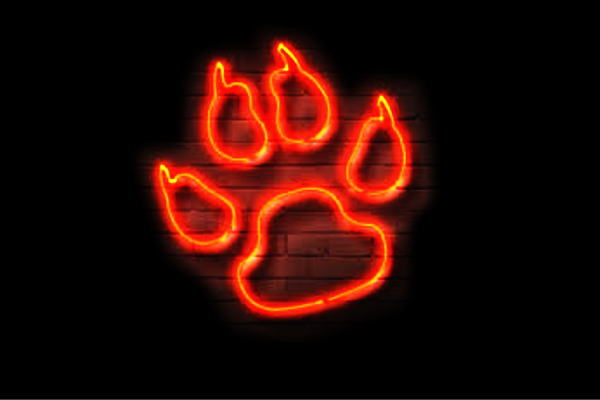 楽天市場 ネオン 肉球 にくきゅう 動物 アニマル イヌ ねこ 犬 猫 いぬ ネコ ペット ネオン ライト 電飾 Led ライト サイン Neon 看板 イルミネーション インテリア 店舗 ネオンサイン アメリカン