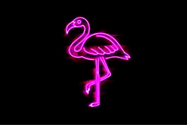 ネオン フラミンゴ ふらみんご 木綿付鳥 とり トリ 獣畜 4つ脚 ネオンとぼし 電置き物 Led ライト 肉筆 Neon 貼札 照度 内装 小売店 ネオンサイン アメリカン雑貨 恰好いい 2friendshotel Com