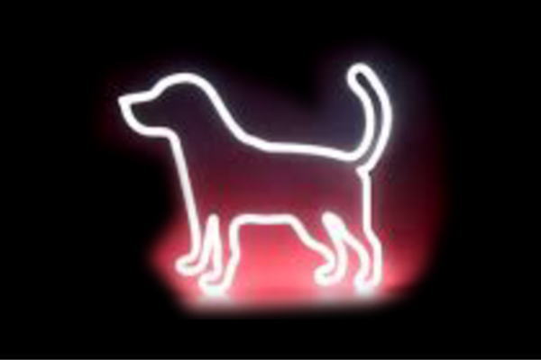 ネオン ドッグシルエット犬 いぬ イヌ 動物 アニマル ペット ネオンライト 電飾 LED ライト サイン neon 看板 イルミネーション インテリア 店舗 ネオンサイン アメリカン雑貨 おしゃれ|AOIデパート