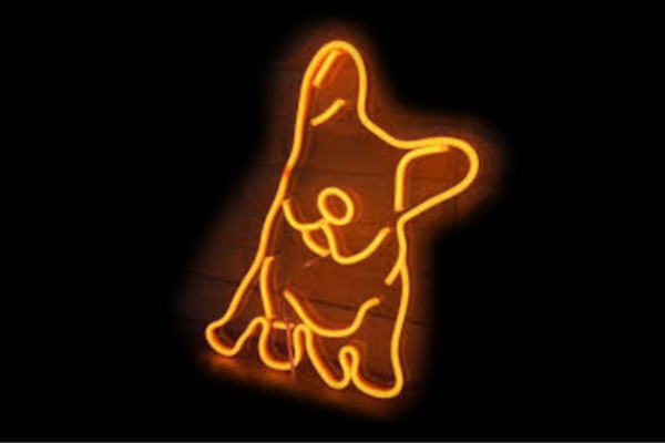 ネオン パグ いぬ Pug 犬 ドッグ ペット Pet Shop 動物 アニマル ネオンライト 電飾 Led ライト サイン Neon 看板 イルミネーション インテリア 店舗 ネオンサイン アメリカン雑貨 おしゃれ かわいい Bla Org Bw