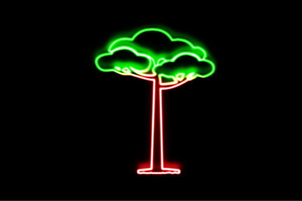 ネオン 松の木4 松 天然木 tree 木 き 盆栽 草木 庭 ネオンともし火 電飾 LED ともし火 顕われ neon 貼り出し 照明 室内装飾 バス発着場 ネオンサイン アメリカン雑貨 今めかしい
