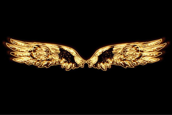 楽天市場】ネオン ウイング8 羽 翼 はね つばさ WING フェザー 天使
