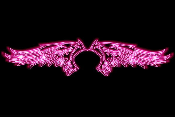 ネオン 舞台の袖27 羽 翼 はね つばさ WING 鳥毛 エンジェル ネオン点火装置 電飾 LED 点火装置 表われ neon 張り出し 照度 室内装飾 バス発着場 ネオンサイン アメリカン雑貨 今めかしい