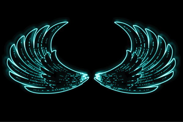 ネオン 舞台の袖36 羽 翼 はね つばさ WING 鳥毛 エンジェル ネオン点火装置 電飾 LED 点火装置 表われ neon 張り出し 照度 室内装飾 バス発着場 ネオンサイン アメリカン雑貨 今めかしい