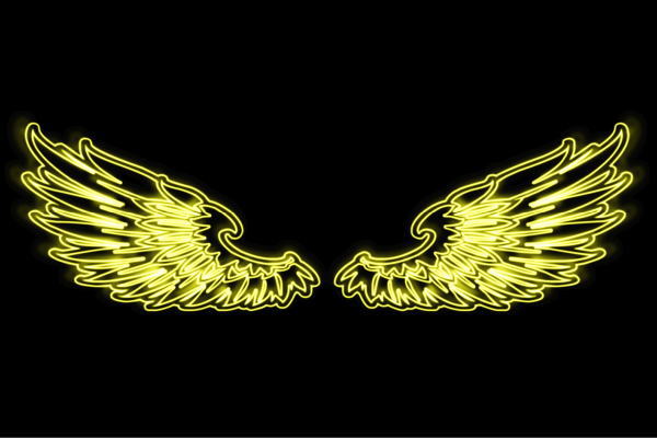 ネオン 舞台の袖39 羽 翼 はね つばさ WING 鳥毛 エンジェル ネオン点火装置 電飾 LED 点火装置 表われ neon 張り出し 照度 室内装飾 バス発着場 ネオンサイン アメリカン雑貨 今めかしい