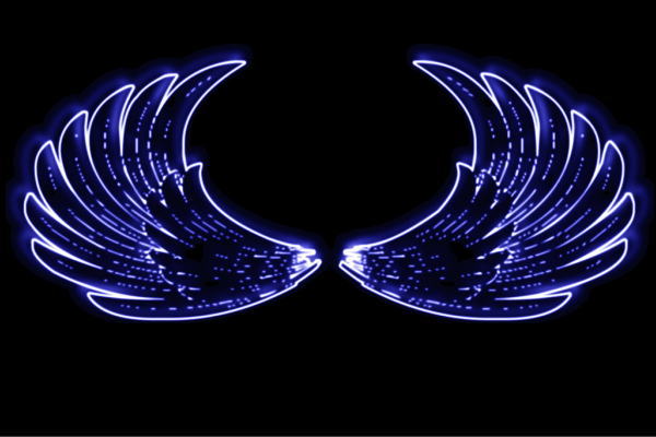 ネオン 舞台の袖42 羽 翼 はね つばさ WING 鳥毛 エンジェル ネオン点火装置 電飾 LED 点火装置 表われ neon 張り出し 照度 室内装飾 バス発着場 ネオンサイン アメリカン雑貨 今めかしい