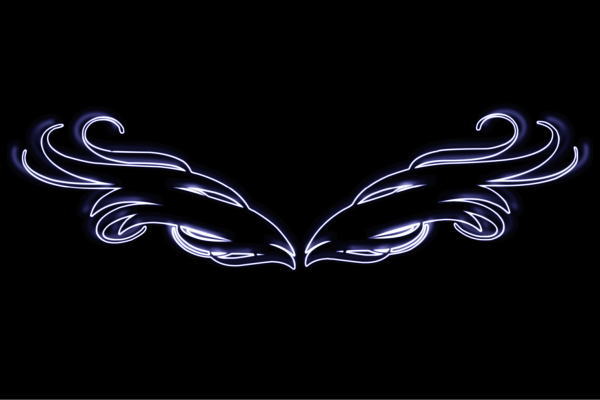 ネオン 舞台の袖47 羽 翼 はね つばさ WING 鳥毛 エンジェル ネオン点火装置 電飾 LED 点火装置 表われ neon 張り出し 照度 室内装飾 バス発着場 ネオンサイン アメリカン雑貨 今めかしい