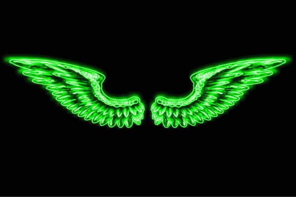 ネオン 舞台の袖51 羽 翼 はね つばさ WING 鳥毛 エンジェル ネオン点火装置 電飾 LED 点火装置 表われ neon 張り出し 照度 室内装飾 バス発着場 ネオンサイン アメリカン雑貨 今めかしい