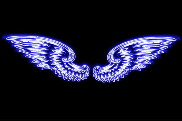 ネオン 舞台の袖52 羽 翼 はね つばさ WING 鳥毛 エンジェル ネオン点火装置 電飾 LED 点火装置 表われ neon 張り出し 照度 室内装飾 バス発着場 ネオンサイン アメリカン雑貨 今めかしい