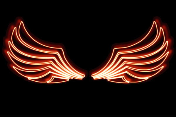 ネオン 舞台の袖54 羽 翼 はね つばさ WING 鳥毛 エンジェル ネオン点火装置 電飾 LED 点火装置 表われ neon 張り出し 照度 室内装飾 バス発着場 ネオンサイン アメリカン雑貨 今めかしい