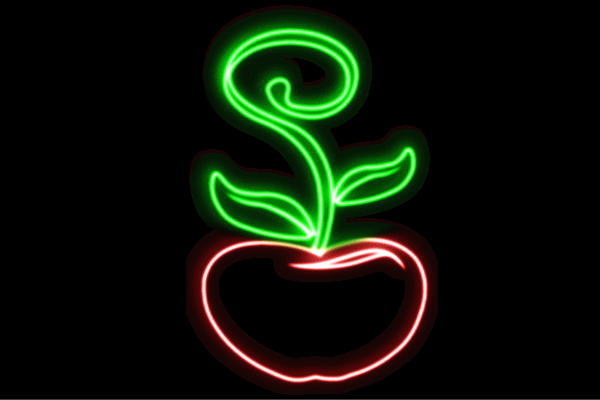 ネオン 林檎8 APPLE りんごの木 リンゴの木 アップル 果物 フルーツ くだもの BAR 赤ちょうちん ネオンともし火 電飾 LED ともし火 顕われ neon 貼り出し 照明 室内装飾 バス発着場 ネオンサイン アメリカン雑貨