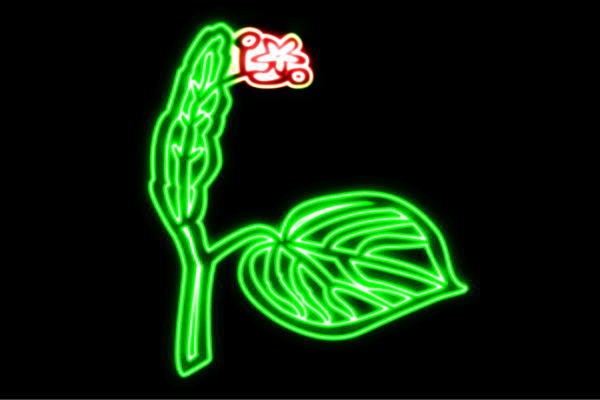 ネオン 岩礁4 りーふ 葉 木の葉 草木 木 しょくぶつ ネオン点火装置 電飾 LED 点火装置 表われ neon 張り出し 照度 室内装飾 バス発着場 ネオンサイン アメリカン雑貨 今めかしい