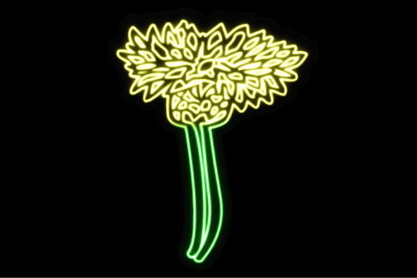 ネオン 花37 ふらわー 御花 はな ハナ FLOWER お花 ネオン点火装置 電飾 LED 点火装置 表われ neon 張り出し 照度 室内装飾 バス発着場 ネオンサイン アメリカン雑貨 今めかしい