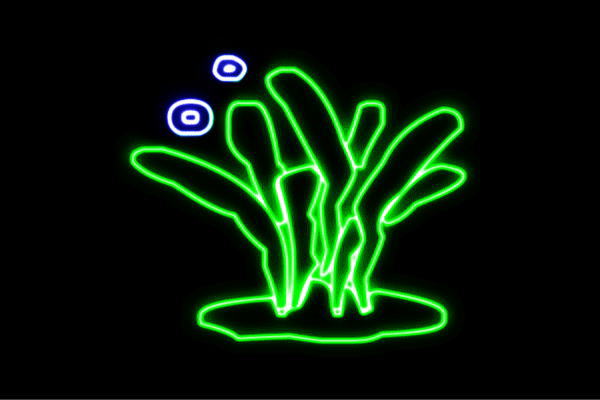 ネオン　海藻かいそう　ワカメ　昆布　わかめ　イソギンチャク　海　ネオンライト　電飾　LED　ライト　サイン　neon　看板　イルミネーション　インテリア　店舗　ネオンサイン　アメリカン雑貨　おしゃれ