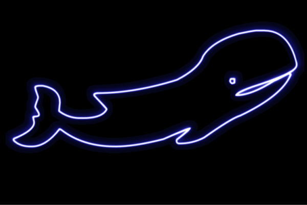 ネオン 勇魚3 くじら 鯨 whale ホエール 海 毛の荒物 毛の荒物 ネオンともし火 電飾 LED ともし火 顕われ neon 貼り出し 照明 室内装飾 バス発着場 ネオンサイン アメリカン雑貨 今めかしい