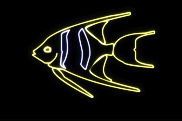 人気no 1 ネオン お魚 19 魚 フィッシュ さかな サカナ Fish 海 うみ ネオンライト 電飾 Led ライト サイン Neon 看板 イルミネーション インテリア 店舗 ネオンサイン アメリカン雑貨 かわいい