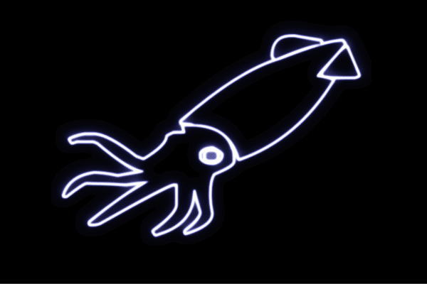ネオン いか3 いか 烏賊 海 毛の荒物 毛の荒物 ネオンともし火 電飾 LED ともし火 顕われ neon 貼り出し 照明 室内装飾 バス発着場 ネオンサイン アメリカン雑貨 今めかしい