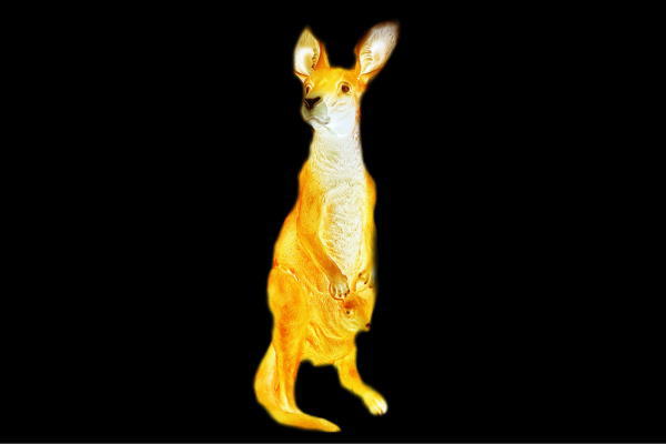 【イルミネーション】ゾウ【ゾウB】【アフリカ】【野生】【動物】【アニマル】【3D】【装飾】【飾り】【アート】【輝き】【電飾】【モチーフ】【クリスマス】【クリスタル】|AOIデパート